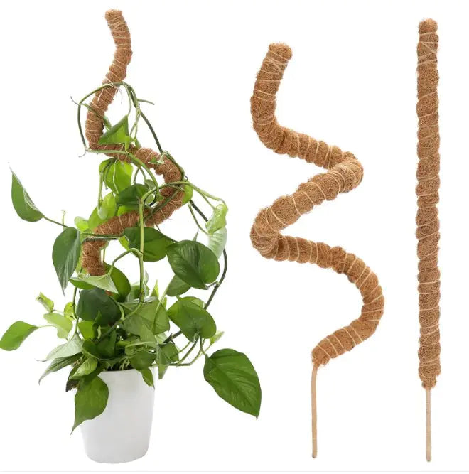 Climbing Vine Support Trellis 🌿 | Perfect for Indoor & Outdoor Plants